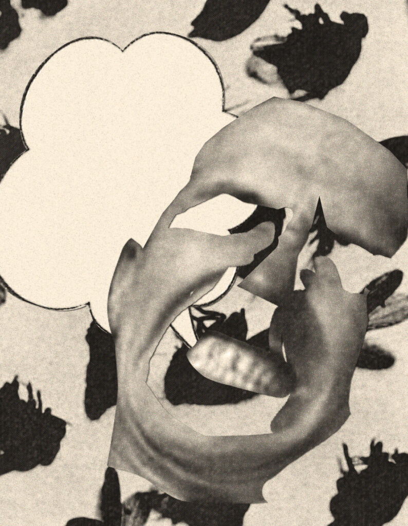 美術・ラーメン５食